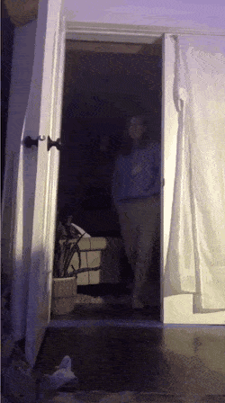 Acid Gifdump, April 24 (25 gifs)