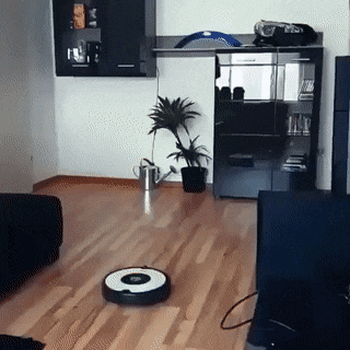 Acid Gifdump, April 24 (25 gifs)