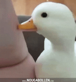 Acid Gifdump, April 24 (25 gifs)