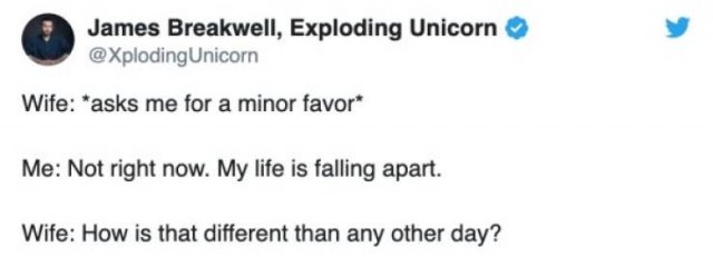 Married Life Tweets (25 pics)