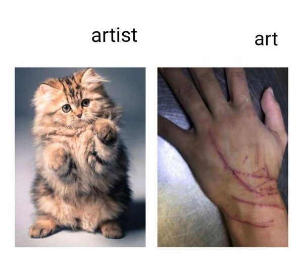 Hilarious Cats (30 pics)