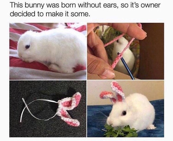 Wholesome Pictures (24 pics)
