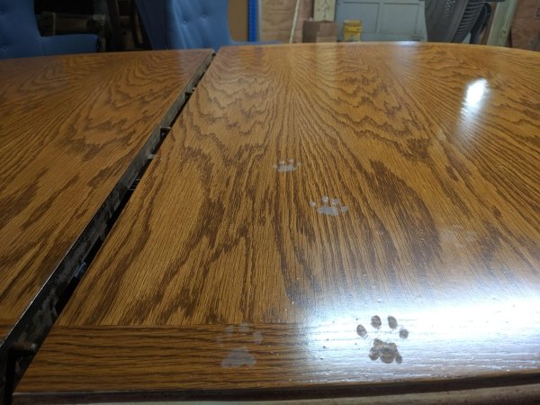 Hilarious Cats (30 pics)