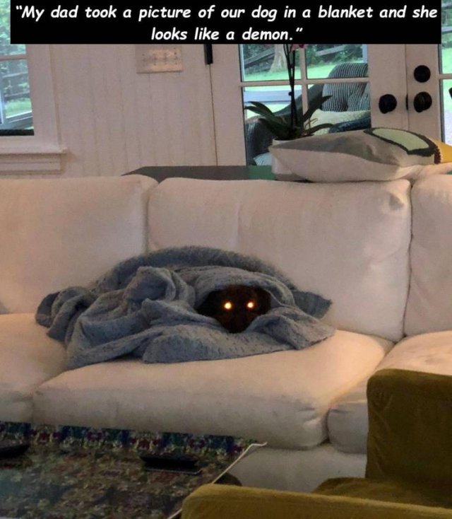 Acid Picdump. Part 1 (95 pics)
