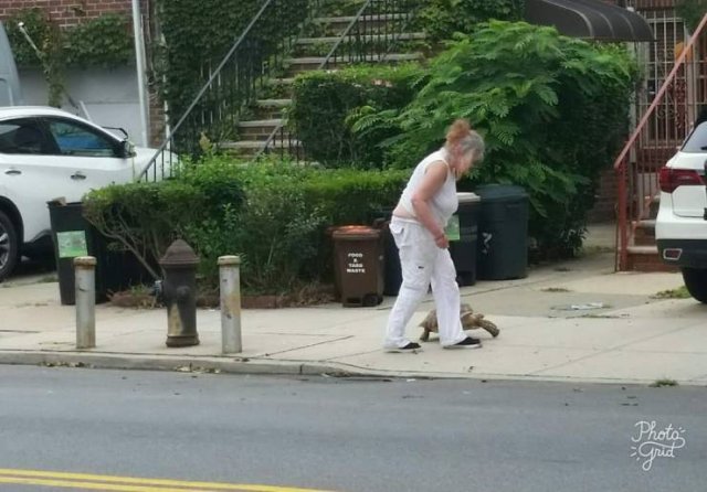 Acid Picdump. Part 1 (95 pics)