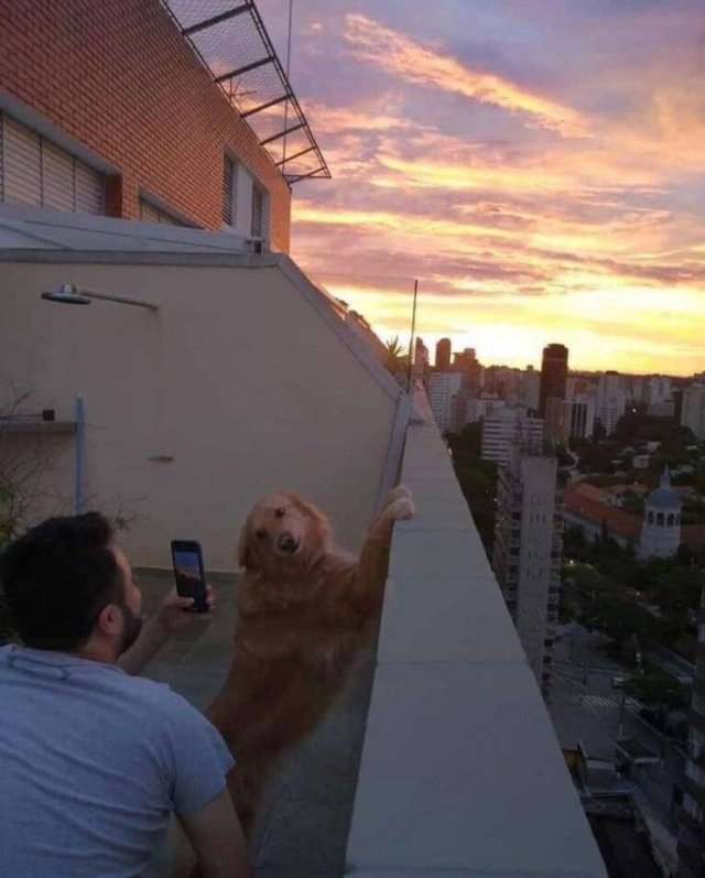Acid Picdump. Part 1 (95 pics)