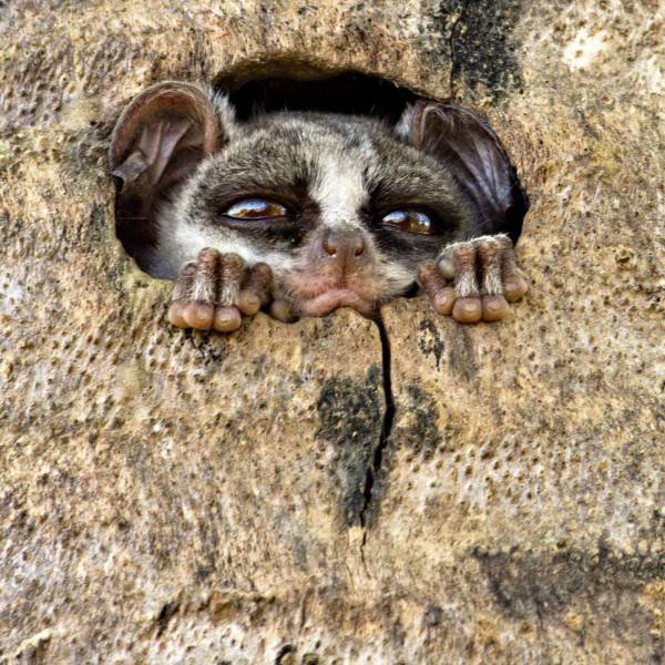 Acid Picdump. Part 1 (95 pics)