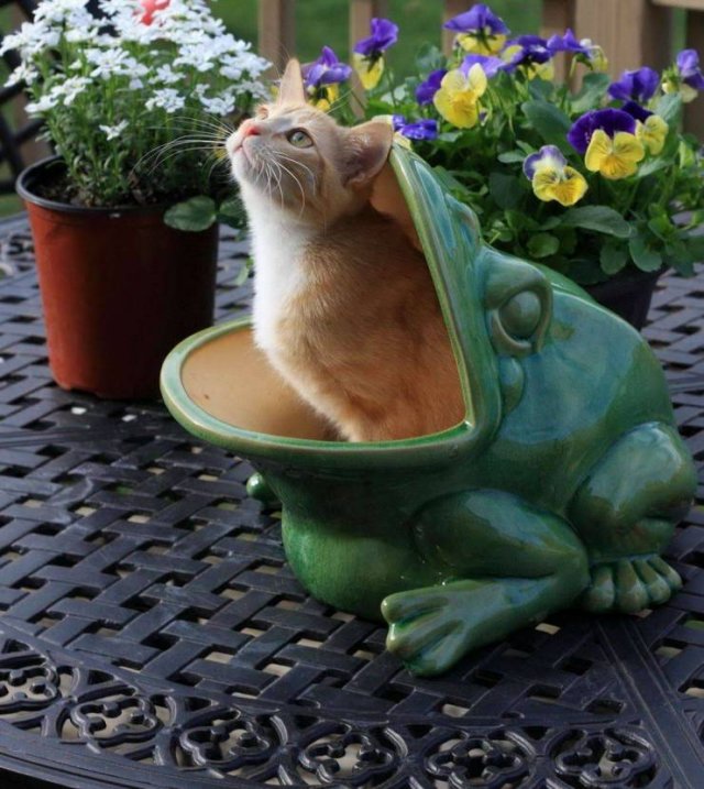 Acid Picdump. Part 1 (95 pics)