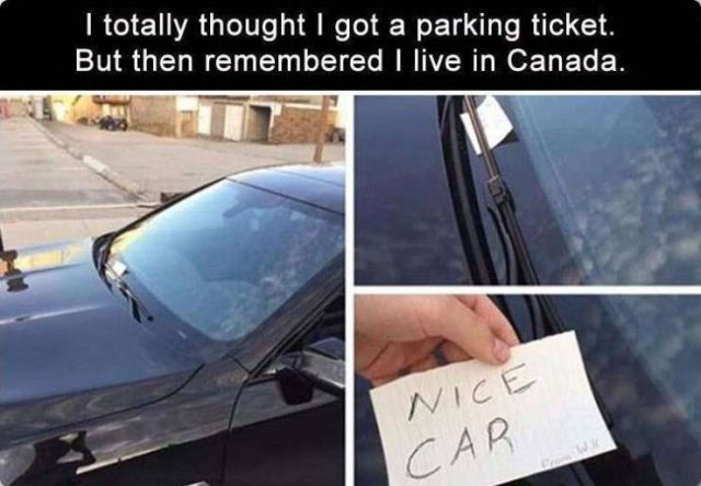 Acid Picdump. Part 1 (95 pics)