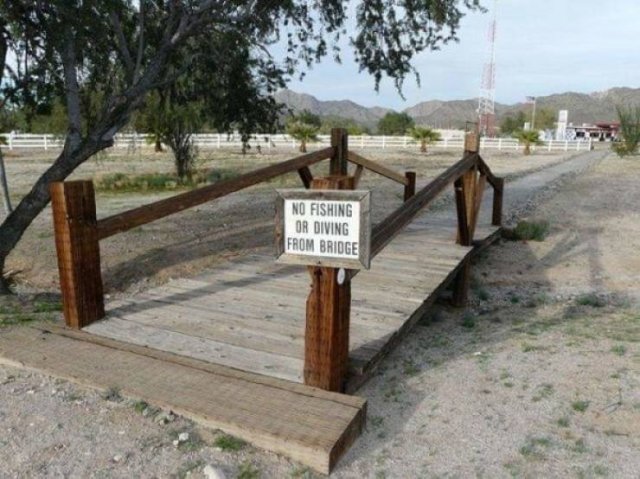 Strange Signs (35 pics)