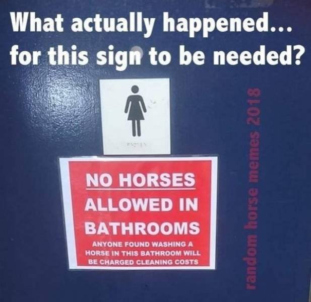Strange Signs (35 pics)