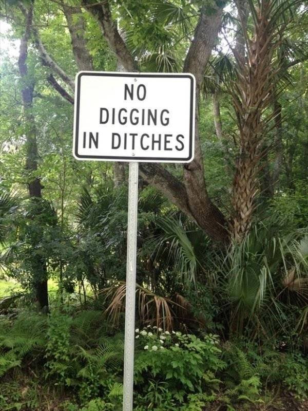 Strange Signs (35 pics)