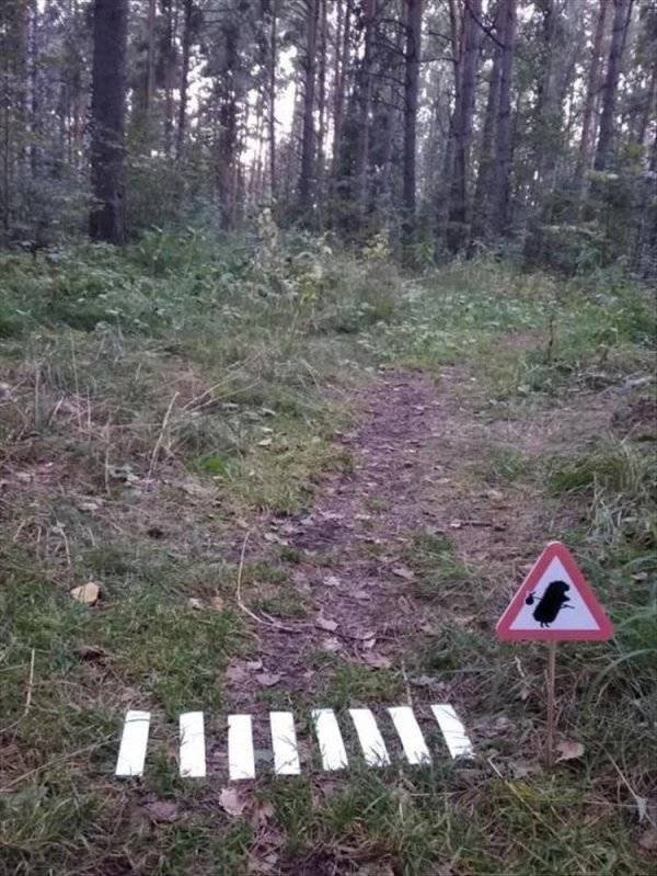 Strange Signs (35 pics)