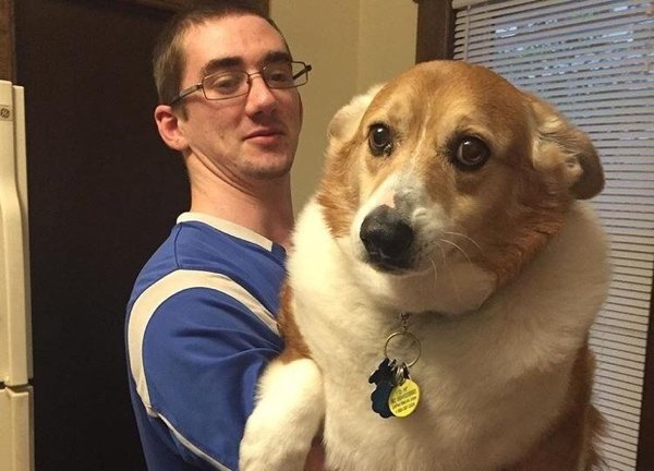Giant Dogs (32 pics)