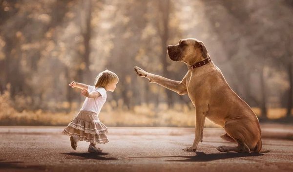 Giant Dogs (32 pics)