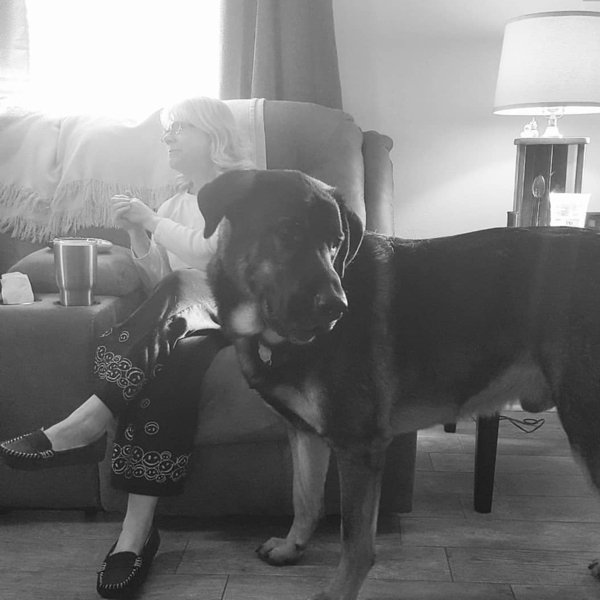 Giant Dogs (32 pics)