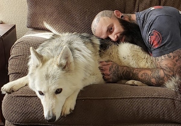 Giant Dogs (32 pics)