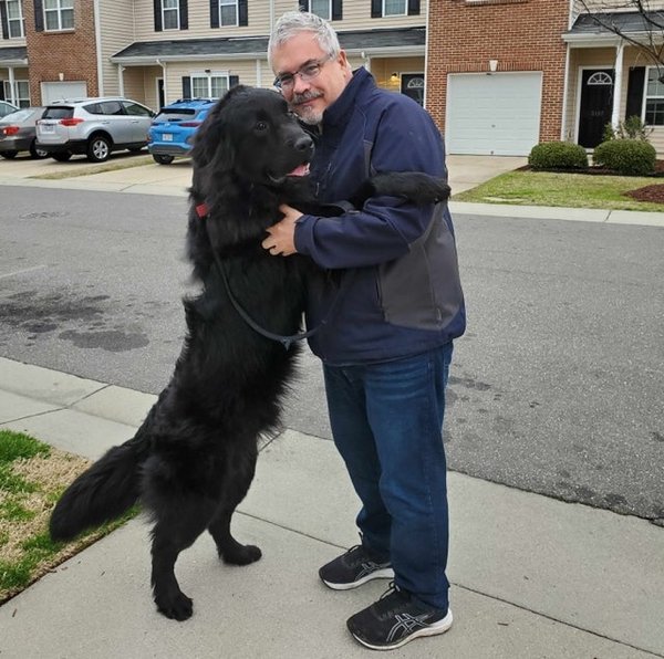 Giant Dogs (32 pics)