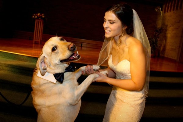 Giant Dogs (32 pics)