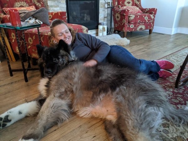 Giant Dogs (32 pics)