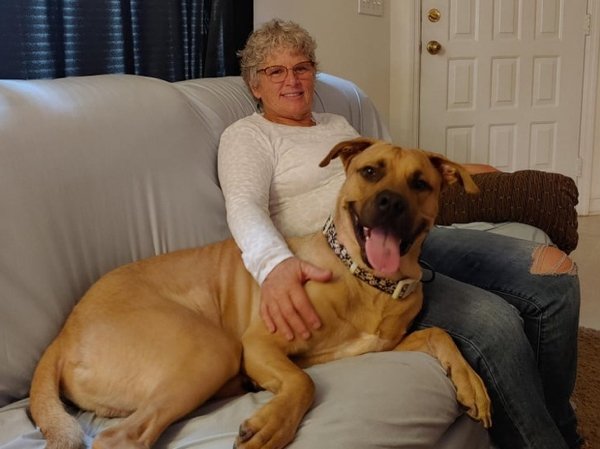 Giant Dogs (32 pics)