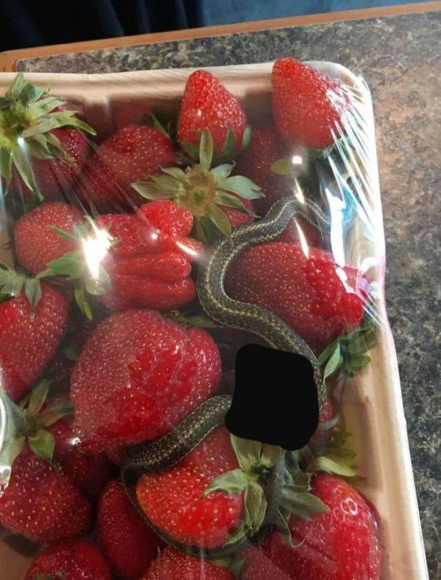 Bad Days Happen (40 pics)