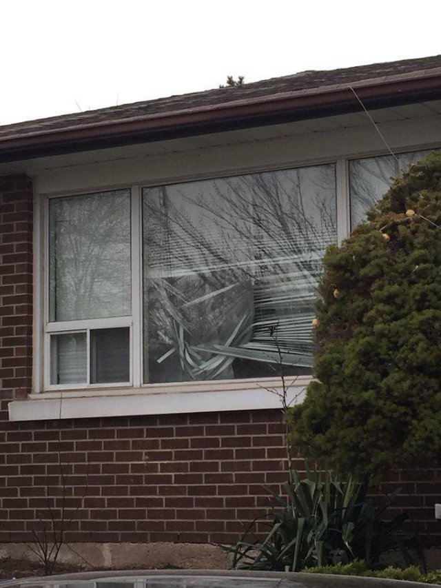 Bad Days Happen (40 pics)