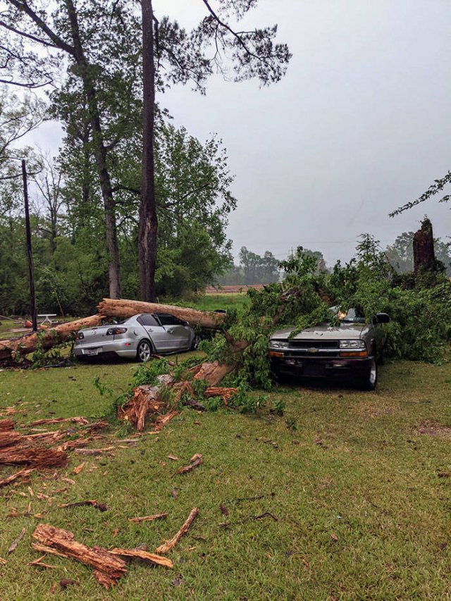 Bad Days Happen (40 pics)