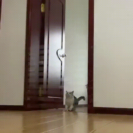 Acid Gifdump, April 27 (25 gifs)