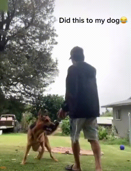 Acid Gifdump, April 27 (25 gifs)