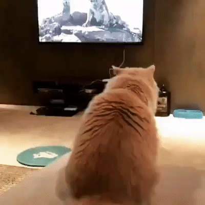 Acid Gifdump, April 27 (25 gifs)