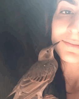 Acid Gifdump, April 27 (25 gifs)