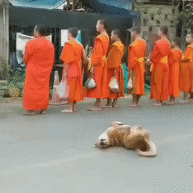 Acid Gifdump, April 27 (25 gifs)