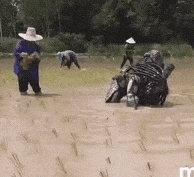 Acid Gifdump, April 27 (25 gifs)