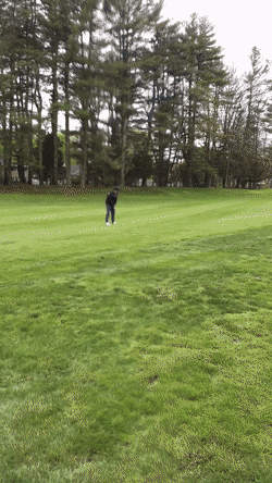 Acid Gifdump, April 27 (25 gifs)