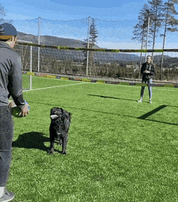 Acid Gifdump, April 27 (25 gifs)