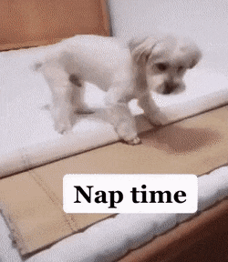 Acid Gifdump, April 27 (25 gifs)