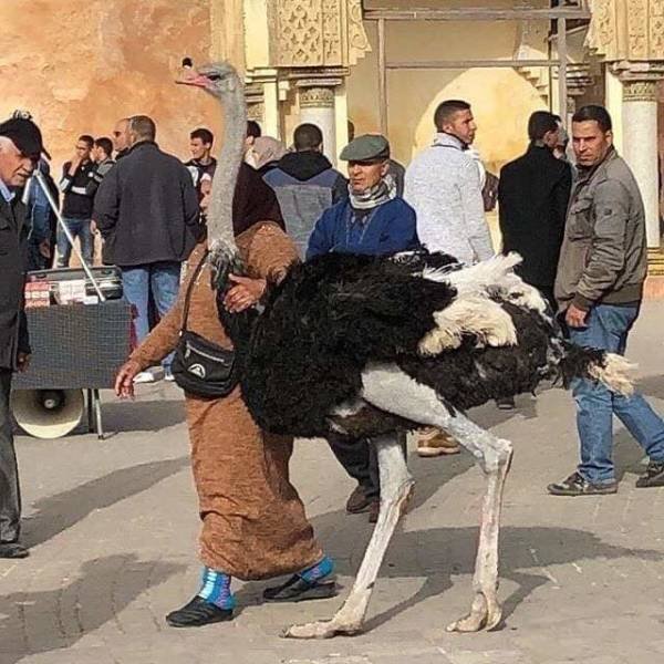 Acid Picdump. Part 2 (95 pics)