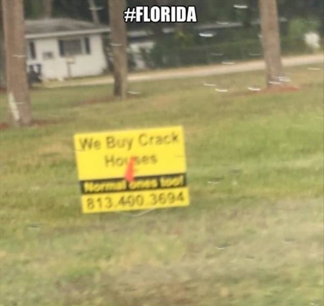 Acid Picdump. Part 2 (95 pics)