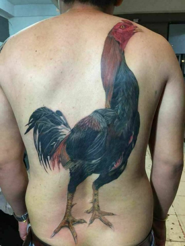Acid Picdump. Part 2 (95 pics)