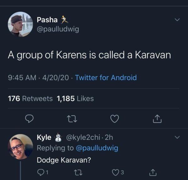Karen Memes (31 pics)