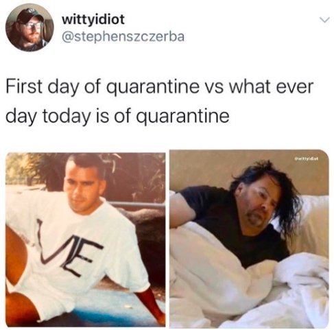 Quarantine Memes (34 pics)