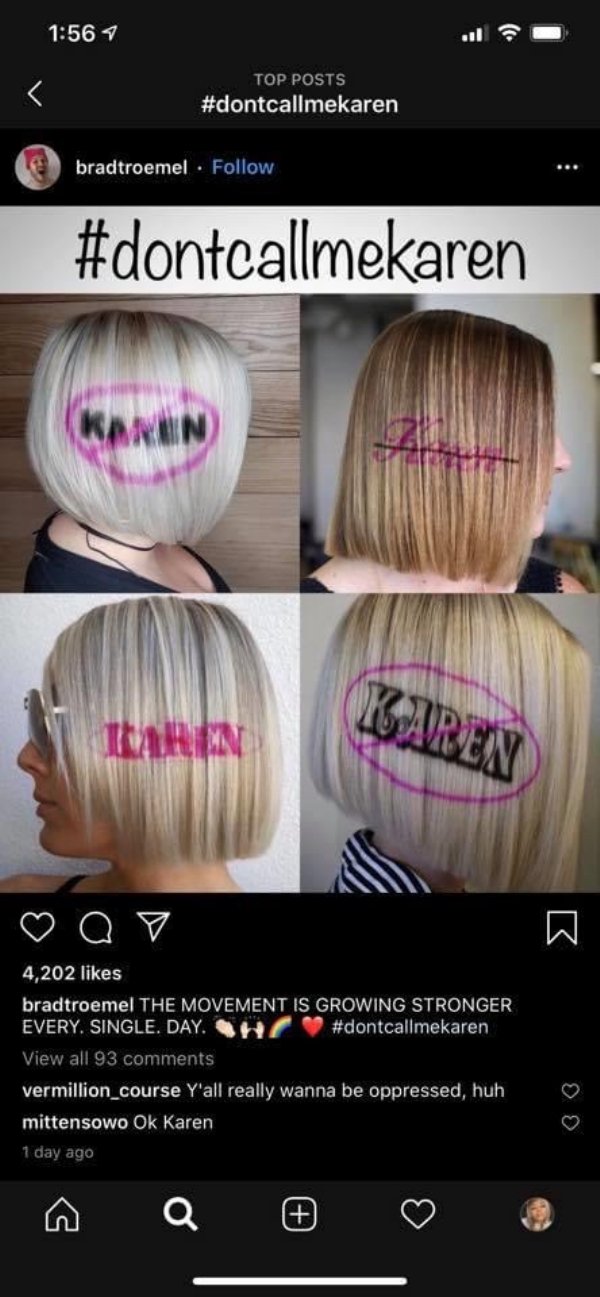 Karen Memes (31 pics)
