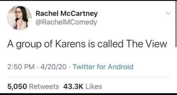Karen Memes (31 pics)