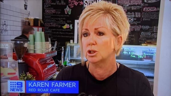 Karen Memes (31 pics)