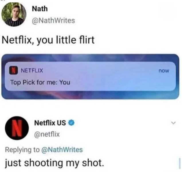 Netflix Memes (39 pics)