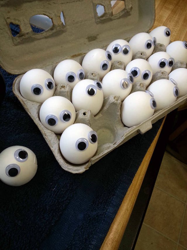 Googly Eyes On Different Things (21 pics)