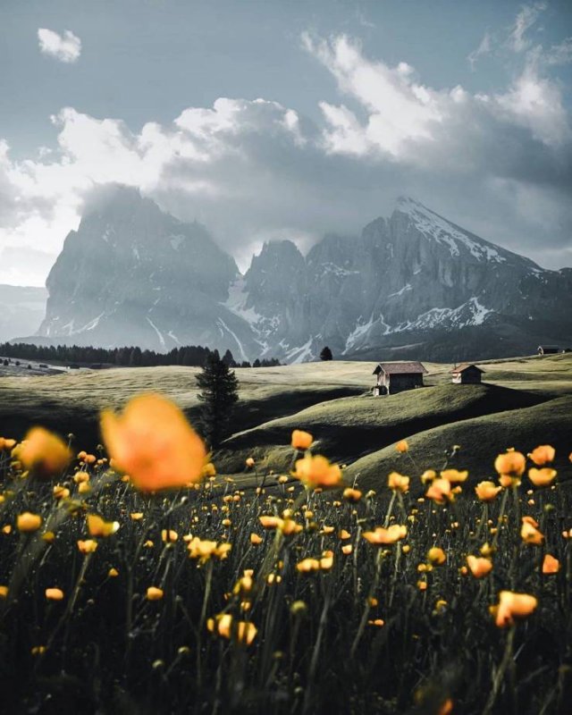 Awesome Spring Pictures (33 pics)