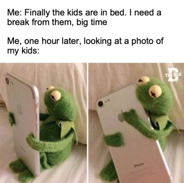 Parenting Memes (29 pics)