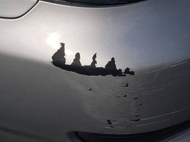 Amazing Photos (57 pics)